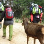 Castiadas: trekking in the S'Acqua Callenti forest - Value and Considerations