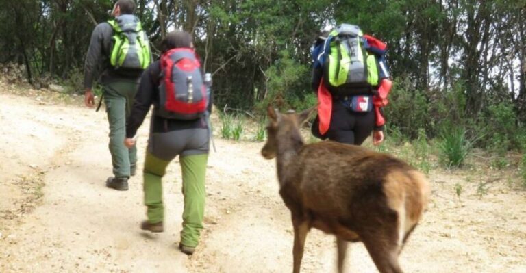 Castiadas: trekking in the S'Acqua Callenti forest - Value and Considerations