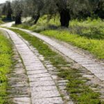 Catania: Pozzo di Gaspare Farm Guided Tour with Tastings - Final Thoughts: Is It Worth It?