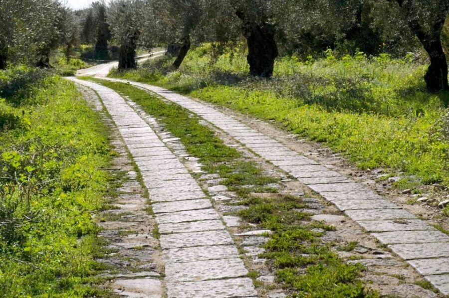 Catania: Pozzo di Gaspare Farm Guided Tour with Tastings - Final Thoughts: Is It Worth It?