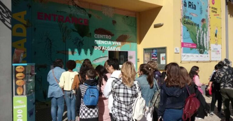 CCVAlgarve Individual Ticket - Final Words: Who Will Love This Experience?