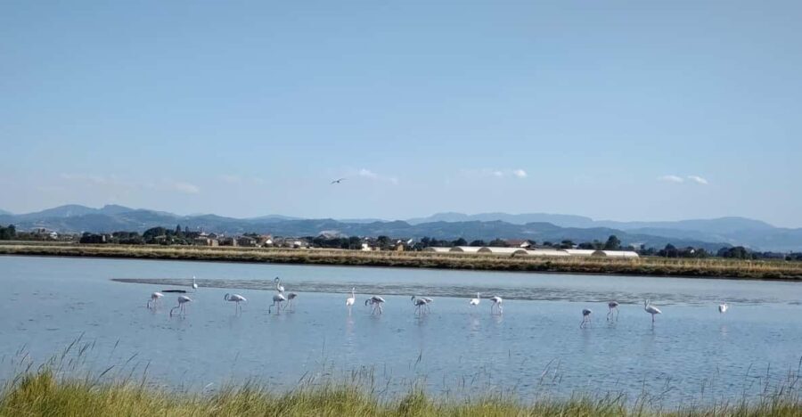 Cervia & Milano Marittima on APE CALESSINO vintage - Final Thoughts