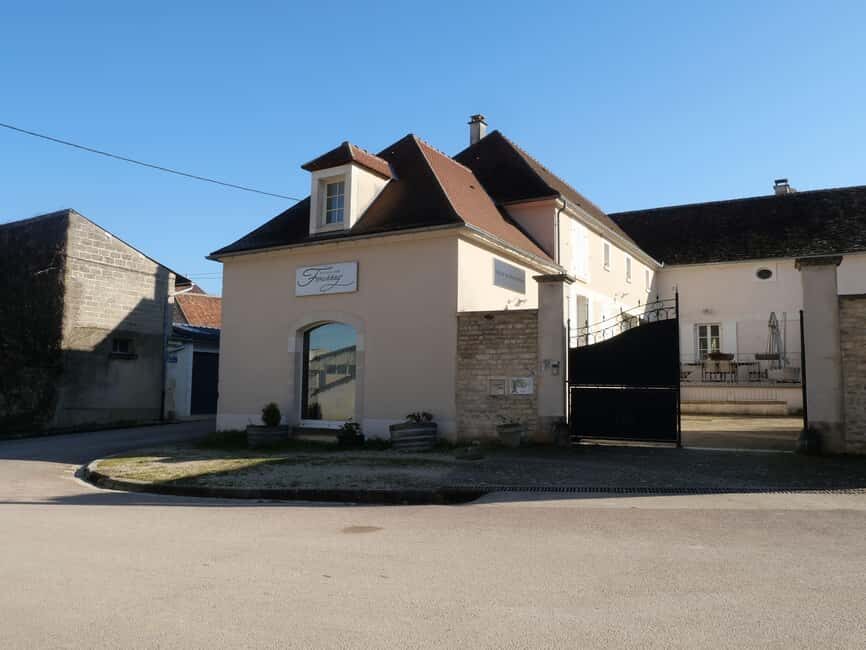 Chablis: Tour and tasting Family-run winery - An in-depth look at the experience