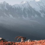 Chamonix: Mountain Photography Workshop at Lac Blanc - The Sum Up