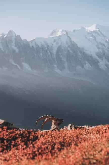 Chamonix: Mountain Photography Workshop at Lac Blanc - The Sum Up