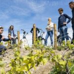 Champagne: E-Bike Champagne Day Tour with Tastings and Lunch - Exploring the Region’s Iconic Sites