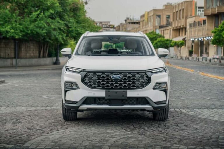 Chania Olive Tour: 3,000-Year-Old Tree, Museum &Organic Mill - A Deep Dive into the Tour Experience