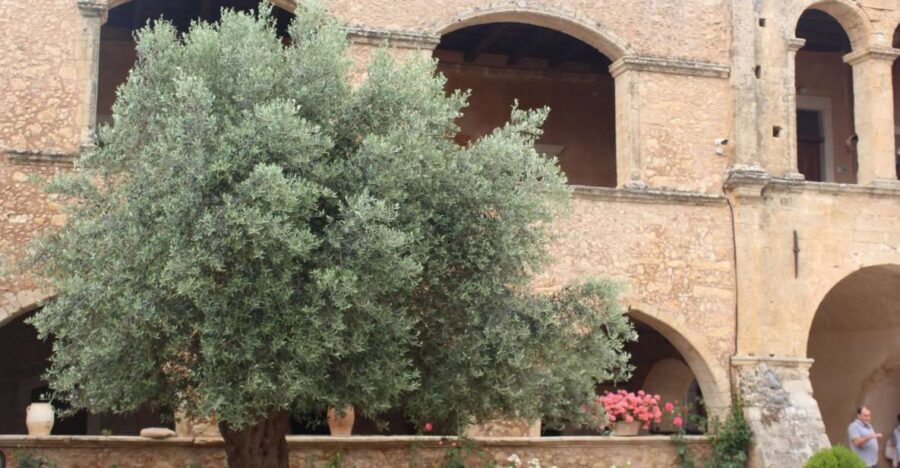 Chania Private Olive Oil Tour: Oil Tasting & Villages Tour - Why This Tour Offers Great Value