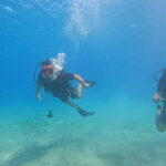 Chania: Scuba Diving and Snorkeling for Beginners by Boat - Why This Tour Stands Out