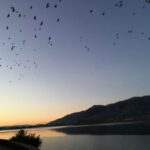 Chania to the Lakes of Crete: Private tour to Aqua Paradise - Practical Details & What to Expect