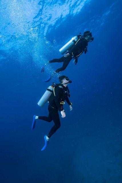 Chania:Try Scuba Diving 2shore dives(Receive Certification) - The Itinerary in Detail