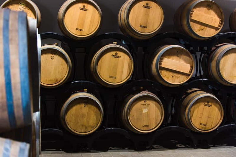 Chianciano Terme: Guided Winery Tour & Wine Tasting - The Experience: What to Expect