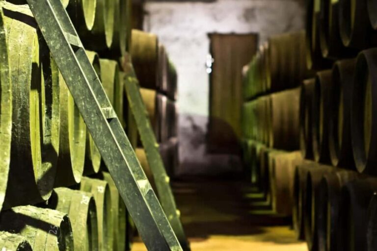 Chiclana de la Frontera: Winery Tour with Wine Tasting - The Guide: Why It Matters