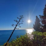 Cinque Terre Villages Walking panoramic tour - The Sum Up