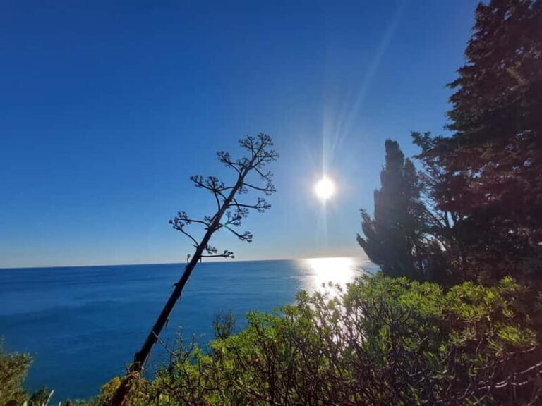 Cinque Terre Villages Walking panoramic tour - The Sum Up