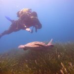 City of Side: Underwater Museum Scuba Diving Visit - Final Thoughts: Should You Book This Tour?