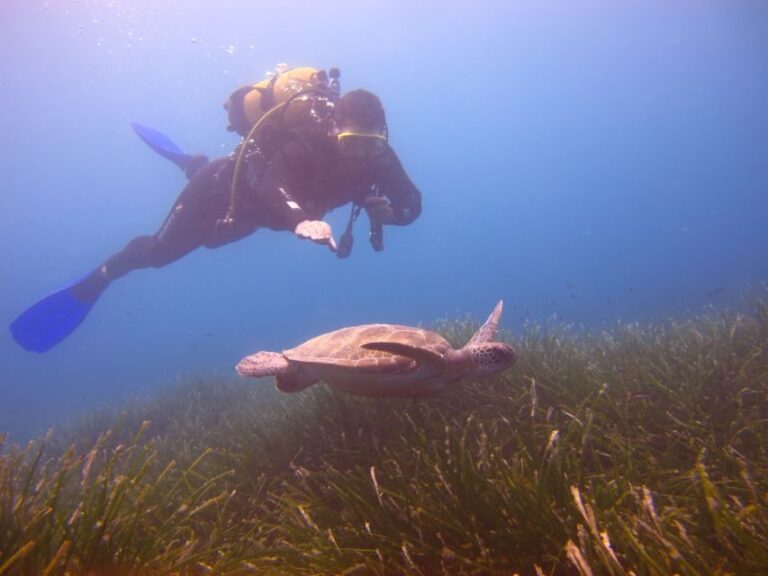 City of Side: Underwater Museum Scuba Diving Visit - Final Thoughts: Should You Book This Tour?