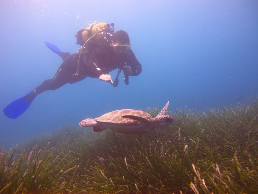 City of Side: Underwater Museum Scuba Diving Visit - Final Thoughts: Should You Book This Tour?