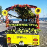 City tour, old downtown sightseeing in Lisbon, - Who Is This Tour Best For?