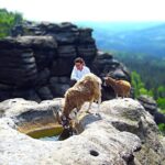 Climb the mountains together with goats - Who Will Love This Tour?