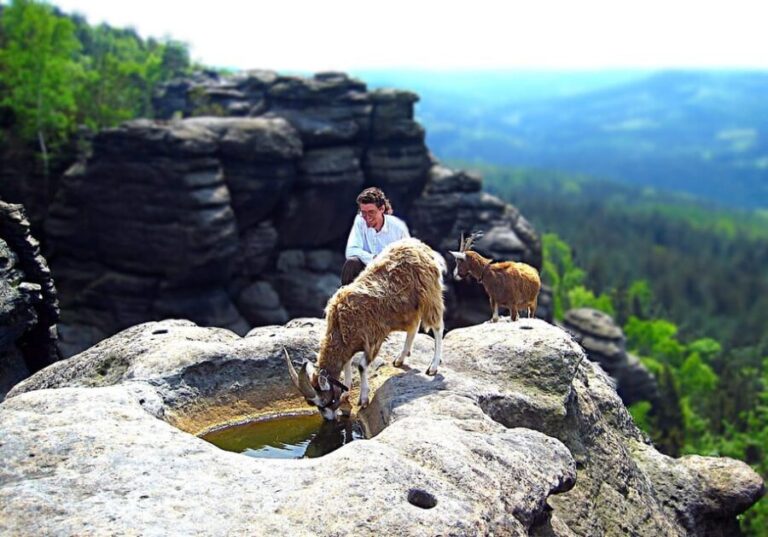 Climb the mountains together with goats - Who Will Love This Tour?