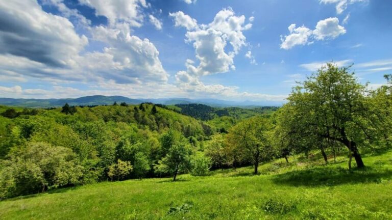 Cluj to Rosia: Day Trip to Ferrata and pittoresque country - Itinerary Breakdown: What to Expect