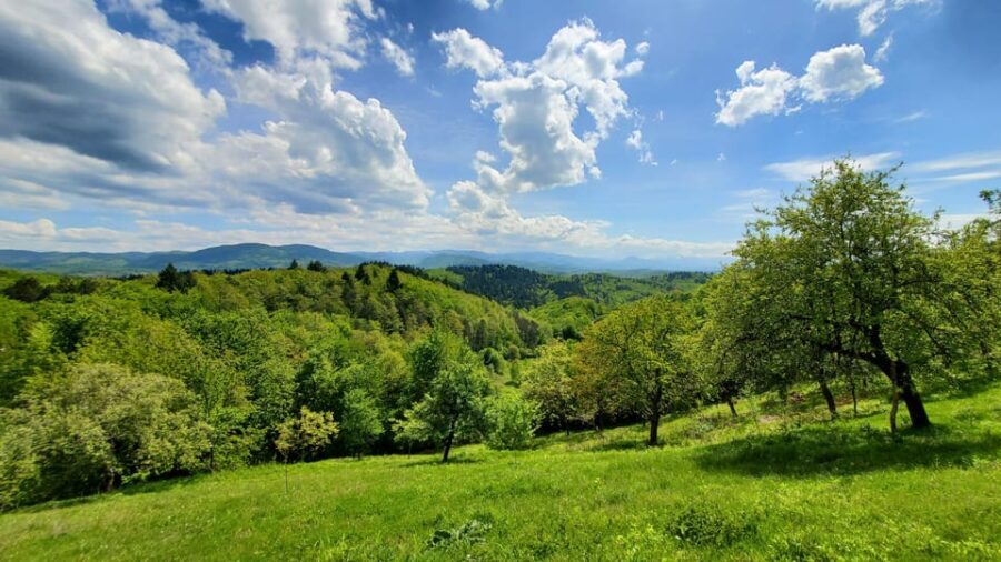 Cluj to Rosia: Day Trip to Ferrata and pittoresque country - Itinerary Breakdown: What to Expect