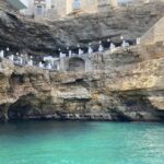 Coast and caves of Polignano:boat tours,drinks,swimming,music and fun - What Makes This Tour Stand Out?