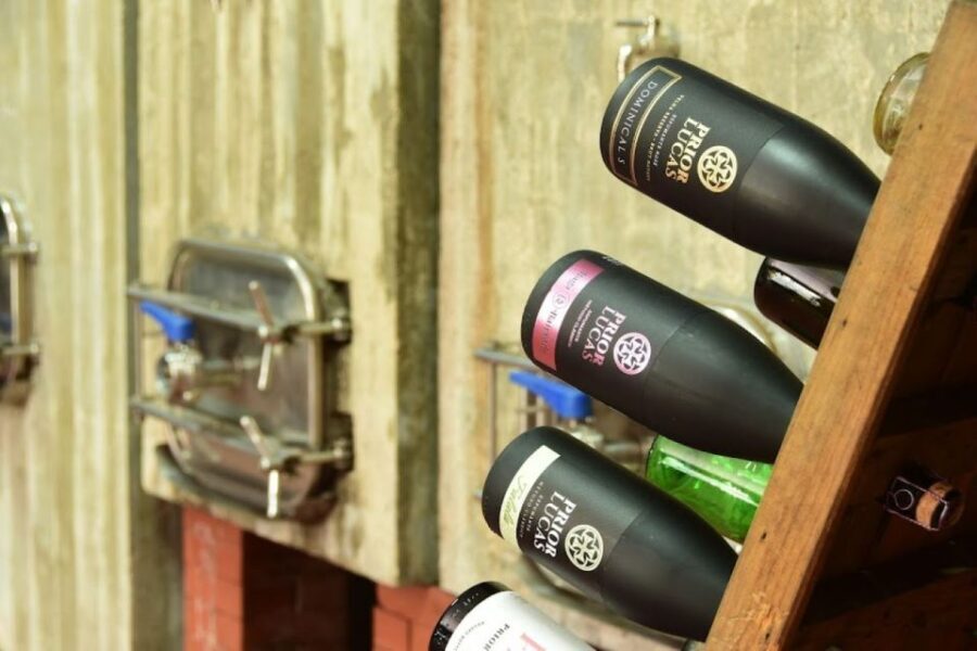 Coimbra: Prior Lucas Wine Experience - Exploring the Prior Lucas Wine Experience