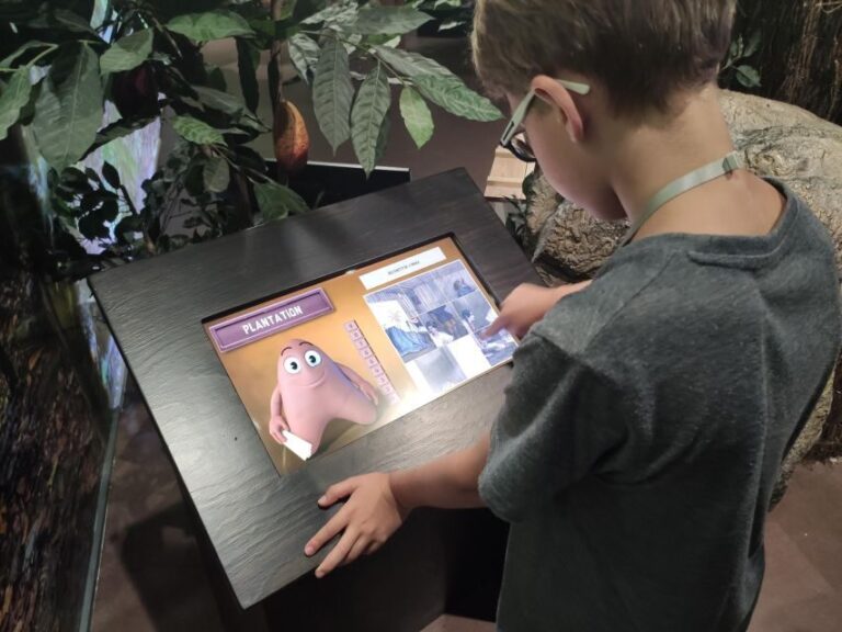 Colmar: Chocolate Museum Entrance Ticket - Who Will Love This Tour?