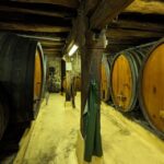 Colmar: Highlights Walking Tour and Wine Tasting - Authentic Insights & Practical Tips