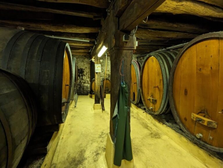 Colmar: Highlights Walking Tour and Wine Tasting - Authentic Insights & Practical Tips