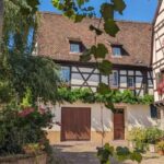 Colmar: Unusual Walking Tour with a local guide - The True Value of This Tour