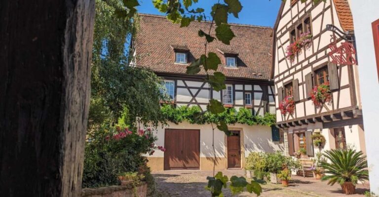 Colmar: Unusual Walking Tour with a local guide - The True Value of This Tour