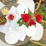 Cologne-Nippes: Summer wine party in the frenchstyle garden - Final thoughts