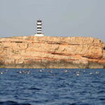 Colonia Sant Jordi: Premium & Fast Boat Tour around Cabrera - Price, Value, and Practical Tips