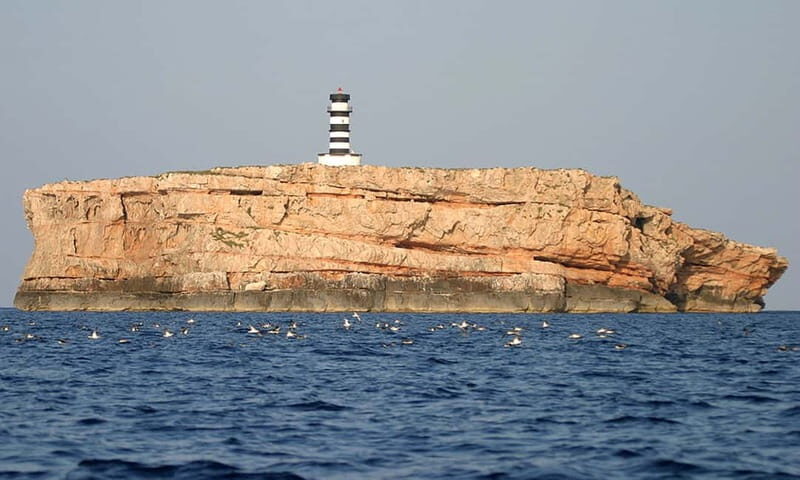 Colonia Sant Jordi: Premium & Fast Boat Tour around Cabrera - Price, Value, and Practical Tips