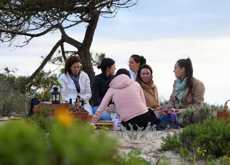 COMPORTA EXPERIENCE: LAND ROVER PREMIUM TOUR | PICNIC & DRONE INCLUDED - Practical Details and Value