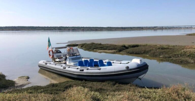 Comporta to Arrábida Coast and Troia - Experiencing the Sado River and Estuary