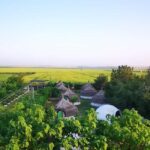 Constana: Ancient Histria Fortress and Local Wine Tasting - A Deep Dive into the Experience