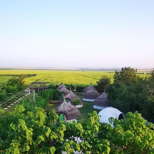 Constana: Ancient Histria Fortress and Local Wine Tasting - A Deep Dive into the Experience