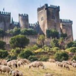 Córdoba: Almódovar Castle Entrance Ticket - Who Would Love This Tour?