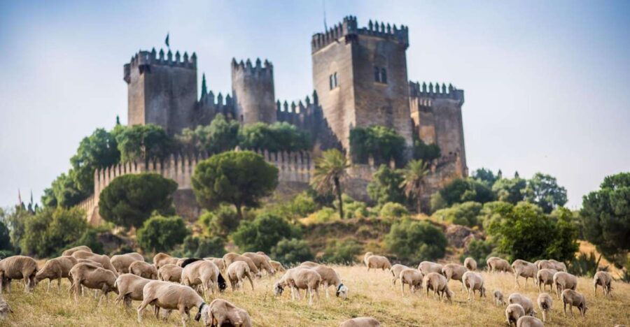 Córdoba: Almódovar Castle Entrance Ticket - Who Would Love This Tour?