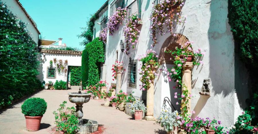 Cordoba: Patios and Viana Palace Tour - Authentic Reviews and What They Reveal