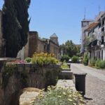 Córdoba: Tour of the Mosque-Cathedral, the Roman Bridge, and the Jewish Quarter. - Practical Details and Tips
