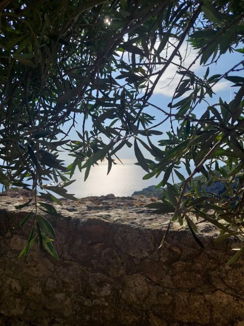 Corfu: Hiking in Olive Groves,Village,Sunset,with Swim Stop - The Practicalities: What to Expect and Tips