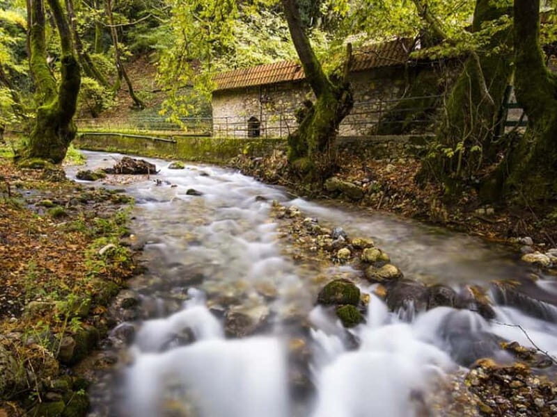 Corinth: Kalavryta and Cog Railway Day Tour - Value for Money: What You’ll Get