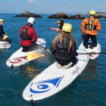 Cornwall: Stand-Up Paddleboarding Adventure on The Lizard - The Highlights: Why This Tour Stands Out