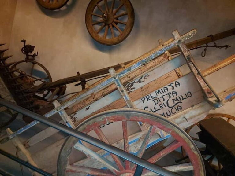 Cortona: Journey Through Time - Exploring the "Il museo ai borghi" Experience