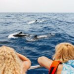 Costa Adeje: Whale Watching Catamaran Tour with Drinks - What Makes This Tour Stand Out?